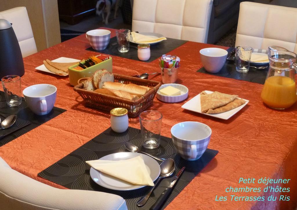Les Terrasses Du Ris Bed & Breakfast Douarnenez Dış mekan fotoğraf
