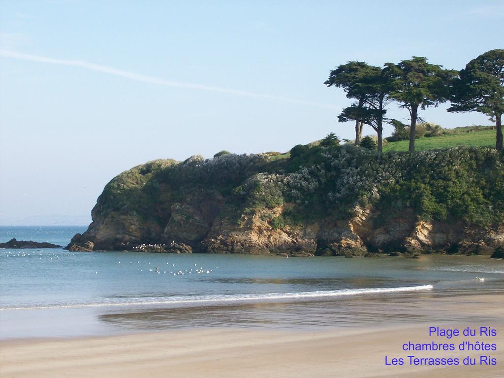 Les Terrasses Du Ris Bed & Breakfast Douarnenez Dış mekan fotoğraf