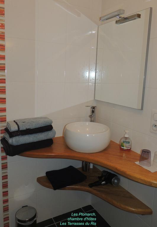 Les Terrasses Du Ris Bed & Breakfast Douarnenez Oda fotoğraf