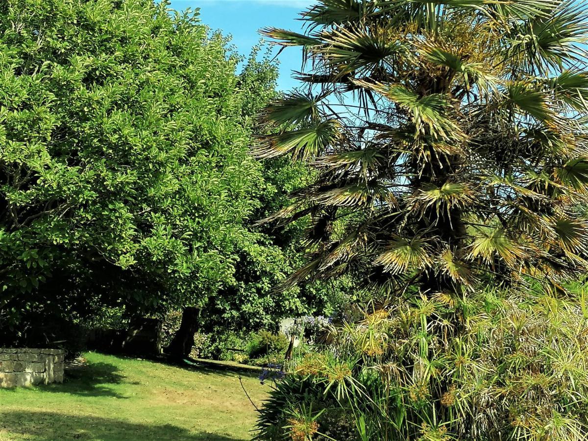 Les Terrasses Du Ris Bed & Breakfast Douarnenez Dış mekan fotoğraf